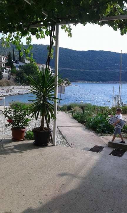 Apartmani Jopi ネウム エクステリア 写真